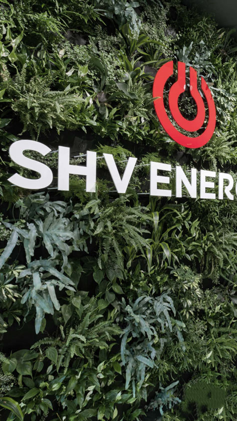 immagine shv logo particolare
